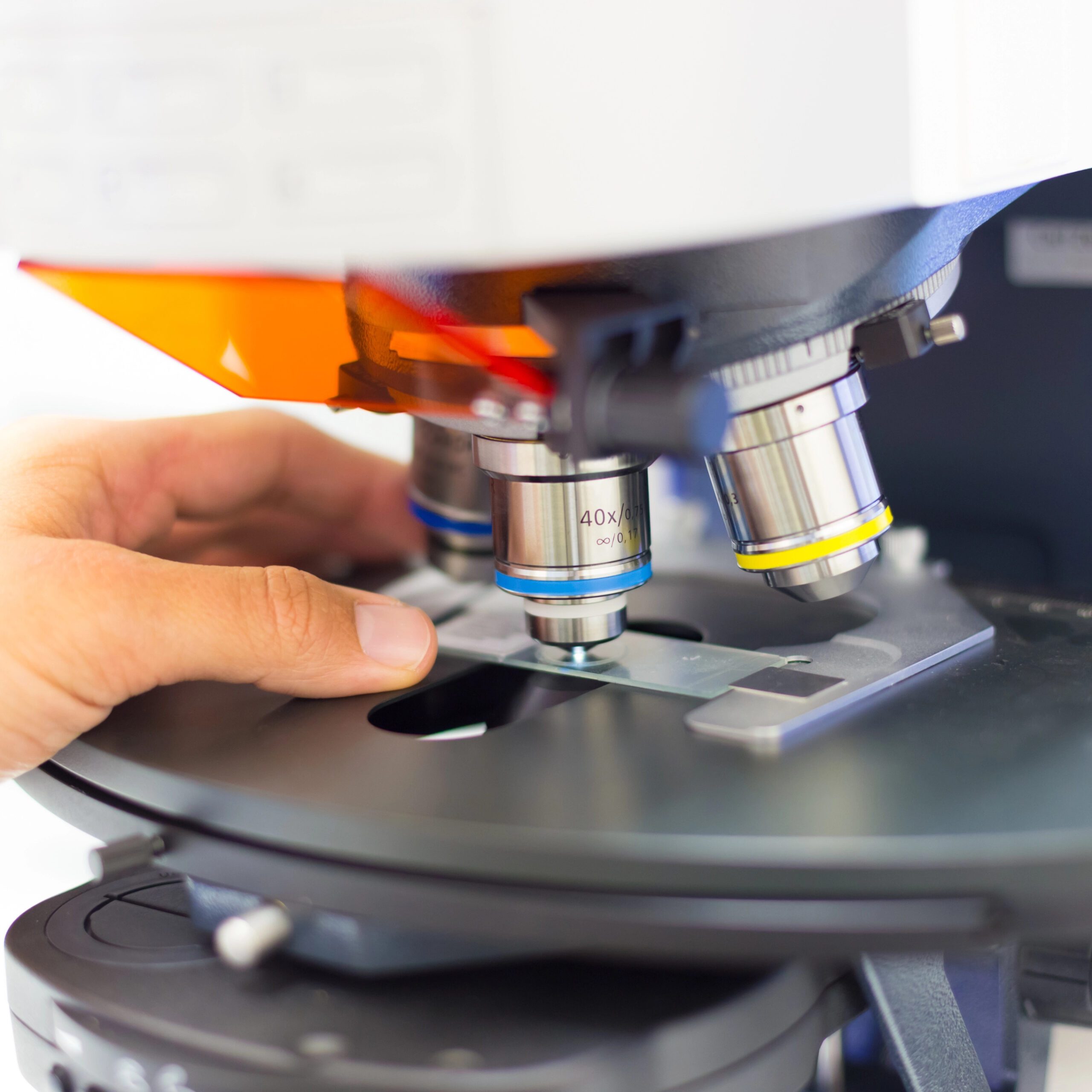 microscopio